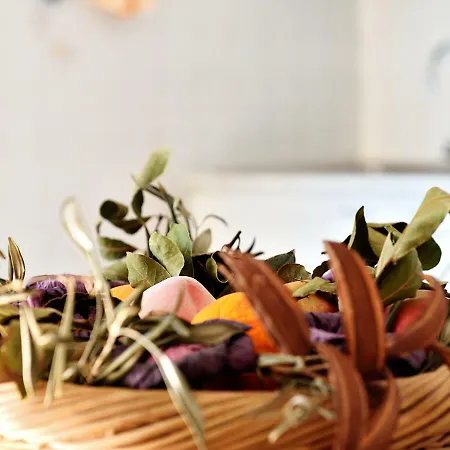 Semesterbostad Metis