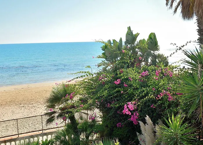 Metis Реальмонте