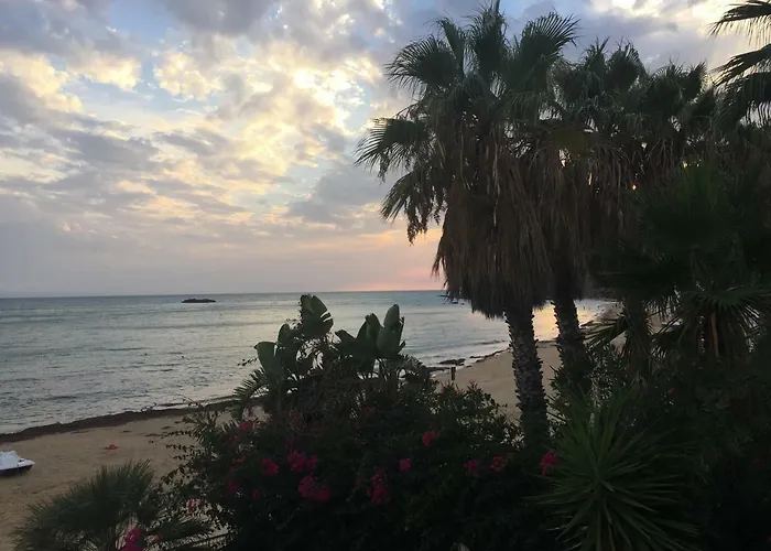 Metis * Реальмонте