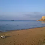 Metis *