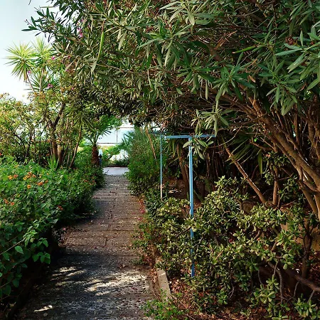 Metis بيت للعطل *